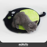 Honkai Impact 3rd Anti Entropy Schrodinger Plush Cushion Edition Valkyrie Dormitory